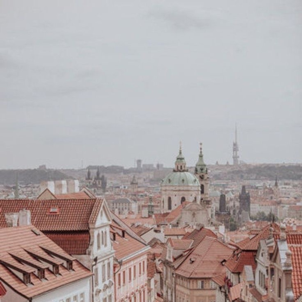 Meet your Poshers, Sam & Bella!